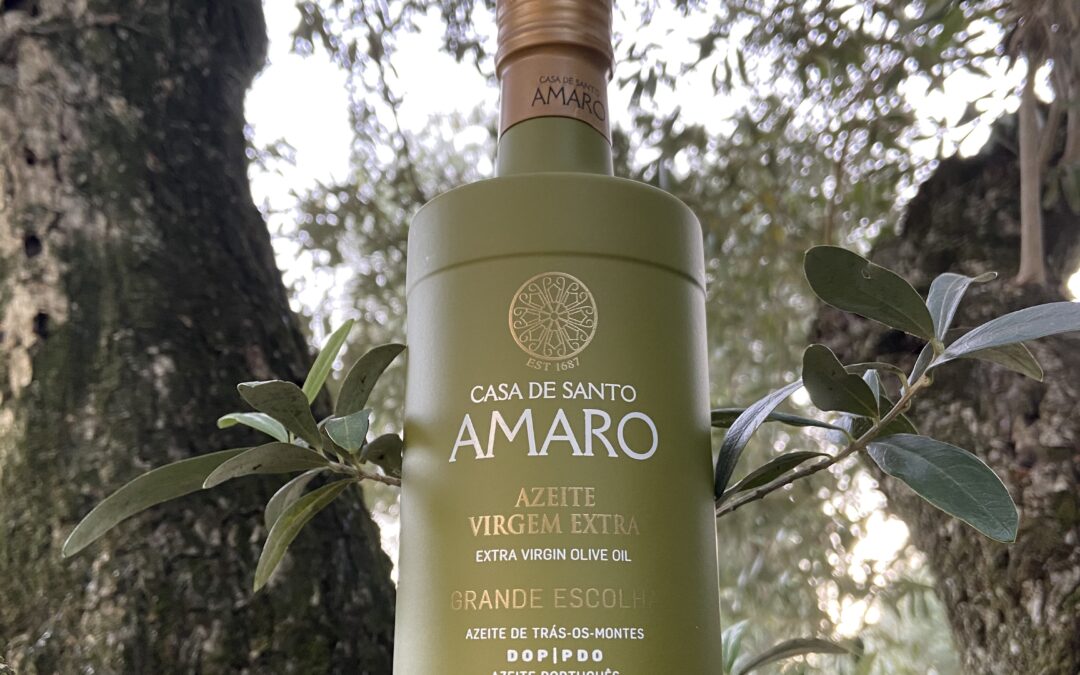 Casa de Santo Amaro – Grande Escolha